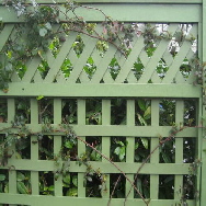 decorative fencing